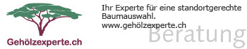 Beratung zu Gehölzen finden Sie bei gehölzexperte.ch