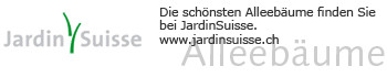 jardinsuisse.ch bietet Alleebäume